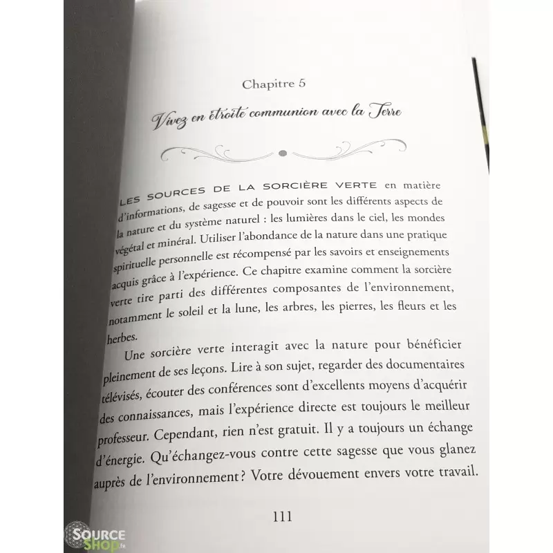 La Sorcière Verte - Arin Murphy-Hiscock