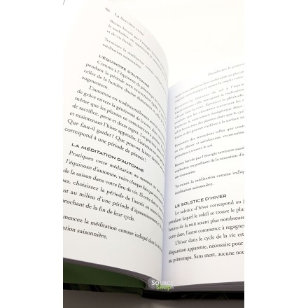 La Sorcière Verte - Arin Murphy-Hiscock