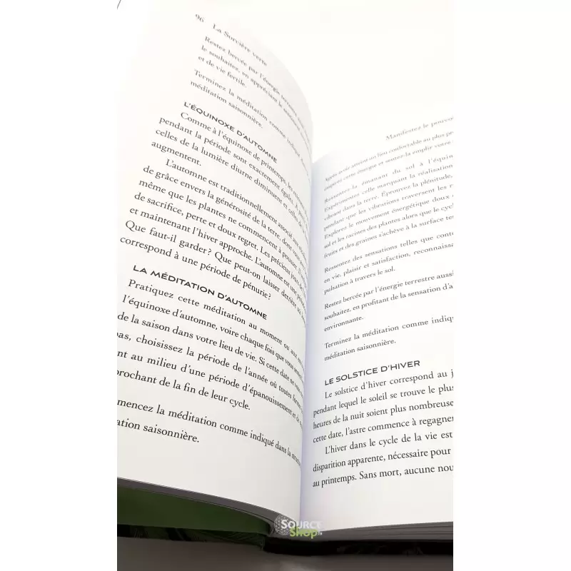 La Sorcière Verte - Arin Murphy-Hiscock