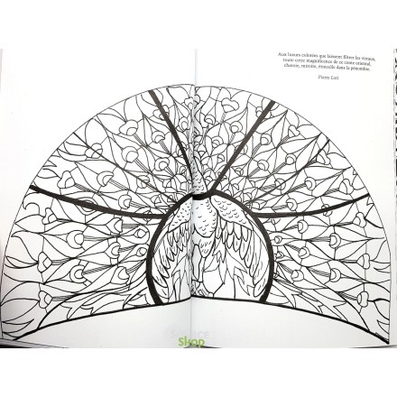 Vitraux : Coloriages anti-stress