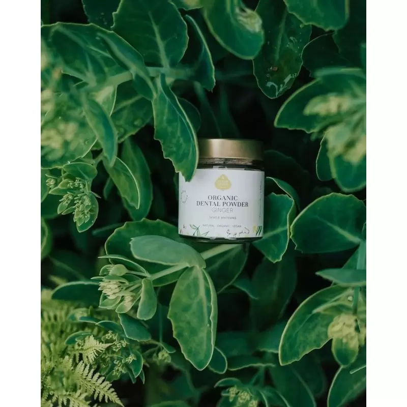 Dentifrice ayurvédique BIO en poudre au gingembre - Eliah Sahil