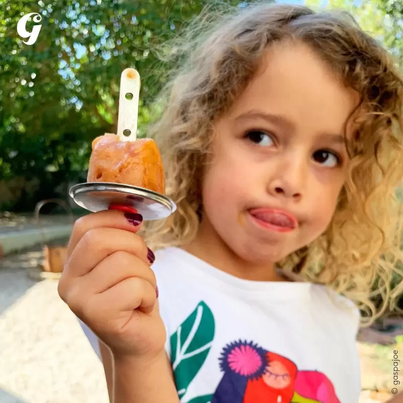 Moules à glaces Freezy - 120ml