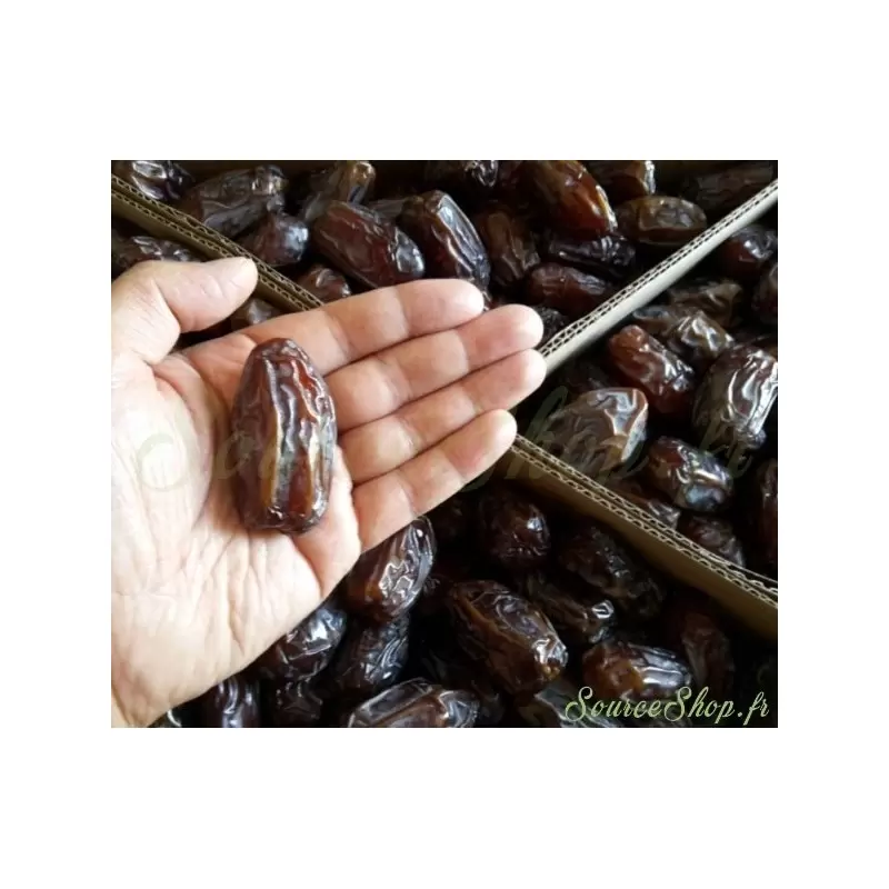 Dattes Medjool de Palestine première qualité - vrac ou 5kg