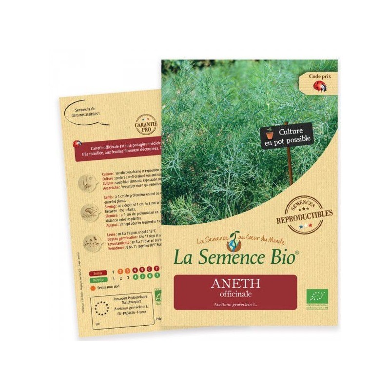 Graines Aneth Officinale BIO - La Semence Bio