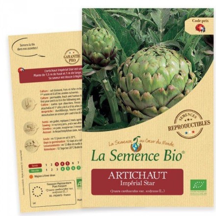 Graines Artichaut Impérial Star BIO - La Semence Bio