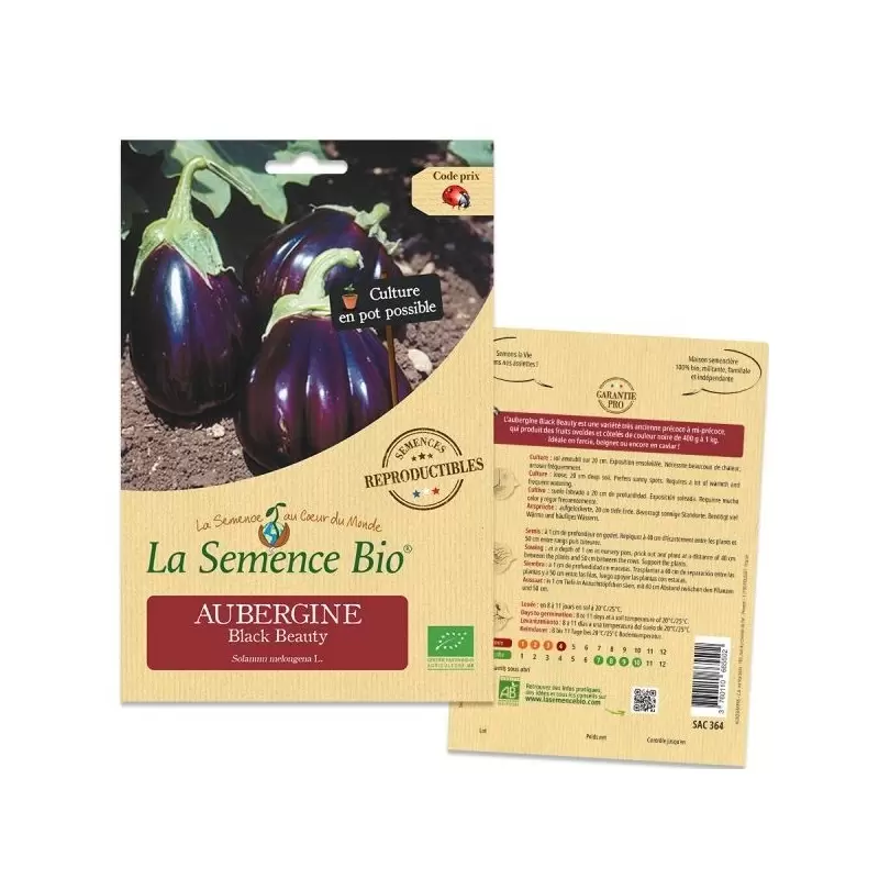 Graines Aubergine Black Beauty BIO - La Semence Bio