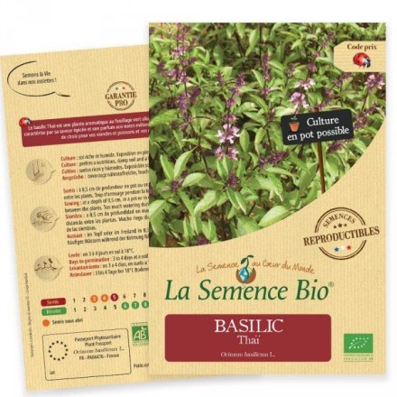 Graines Basilic Thaï BIO - La Semence Bio