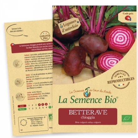 Graines Betterave Chioggia BIO - La Semence Bio