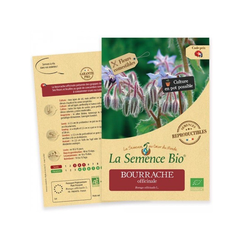 Graines Bourrache Officinale BIO - La Semence Bio