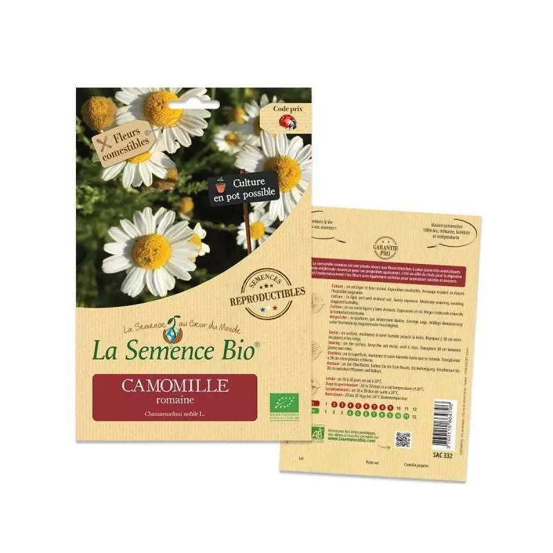 Graines Camomille Romaine BIO - La Semence Bio