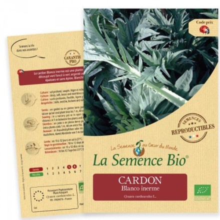 Graines Cardon Blanco Inerme BIO - La Semence Bio