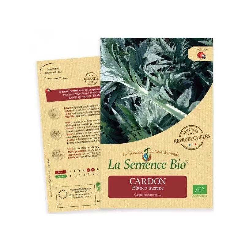 Graines Cardon Blanco Inerme BIO - La Semence Bio