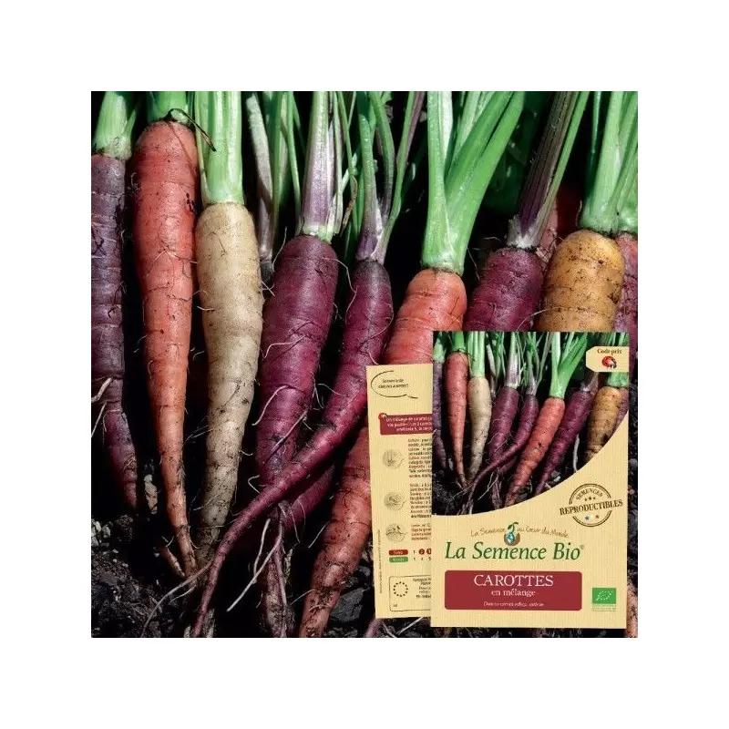 Graines Carottes en mélange BIO - La Semence Bio
