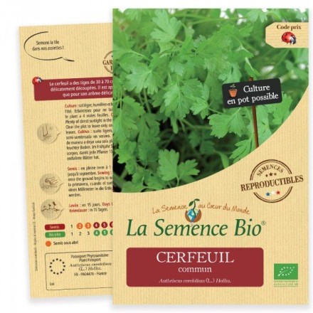 Graines Cerfeuil commun BIO - La Semence Bio