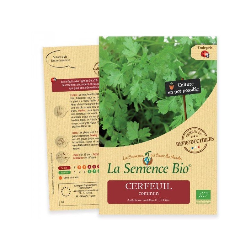 Graines Cerfeuil commun BIO - La Semence Bio