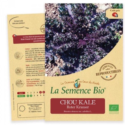 Graines Chou Kale Roter Krauser BIO - La Semence Bio