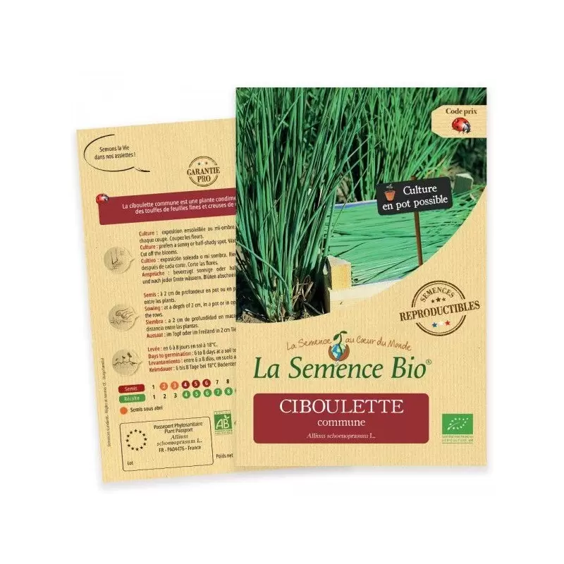 Graines Ciboulette commune BIO - La Semence Bio