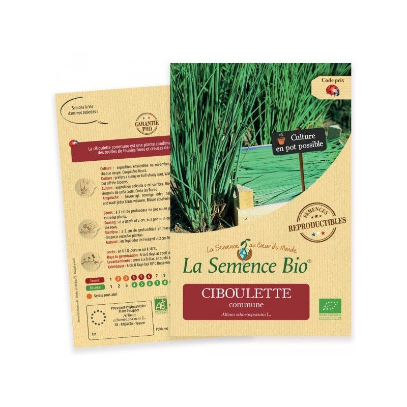 Graines Ciboulette commune BIO - La Semence Bio