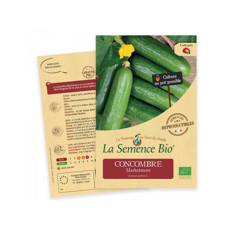 Graines Concombre Marketmore BIO - La Semence Bio