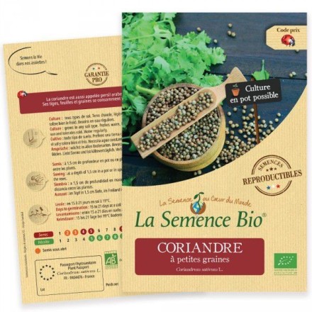 Graines Coriandre à petites graines BIO - La Semence Bio