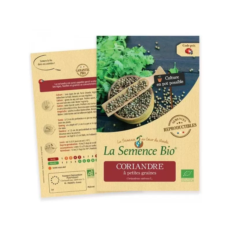 Graines Coriandre à petites graines BIO - La Semence Bio