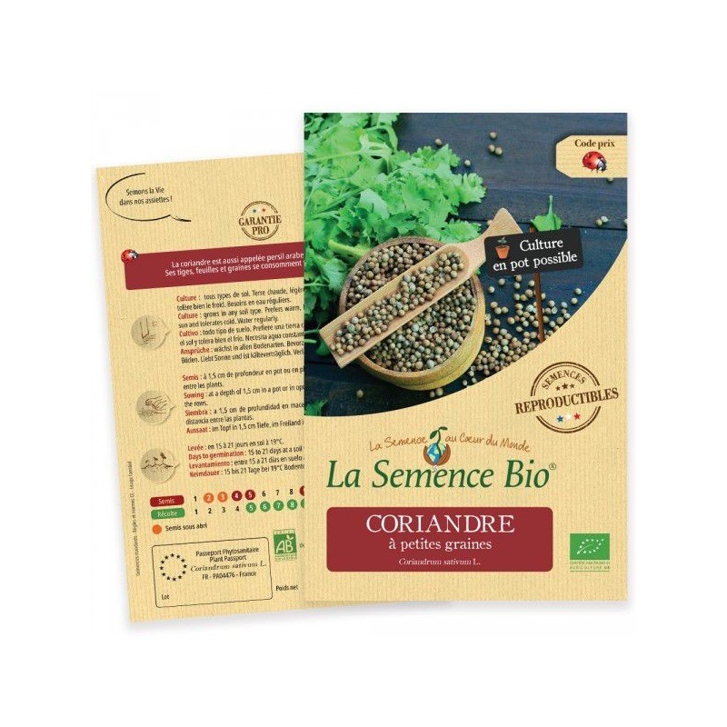 Graines Coriandre à petites graines BIO - La Semence Bio