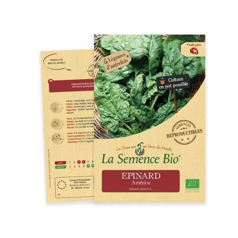 Graines Epinard America BIO - La Semence Bio