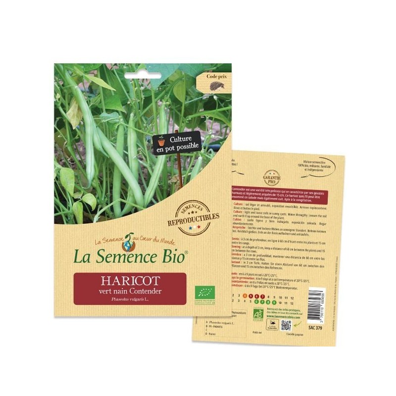 Graines Haricot Vert nain Contender BIO - La Semence Bio