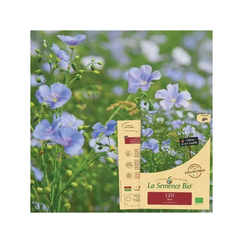Graines Lin bleu BIO - La Semence Bio