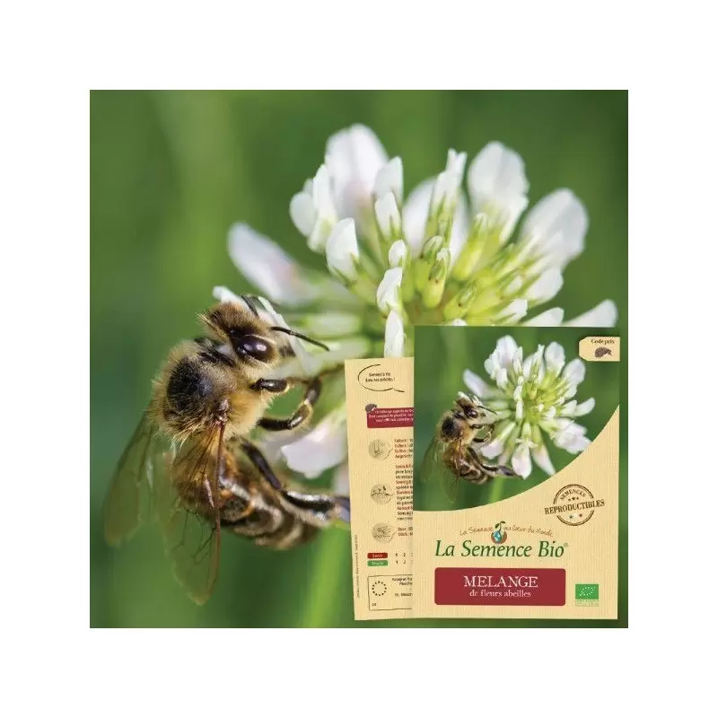 Graines Mélange de Fleurs Abeilles BIO - La Semence Bio