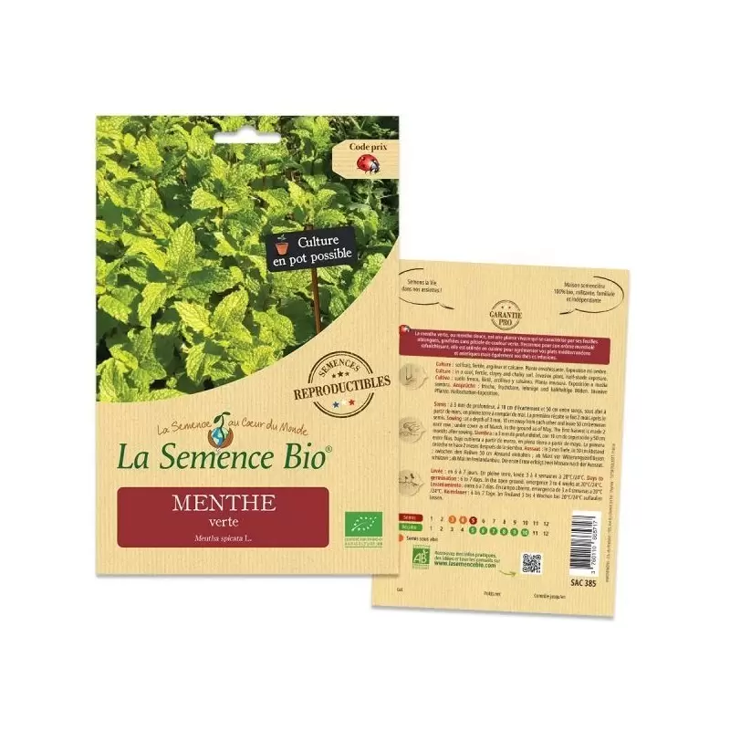 Graines Menthe Verte BIO - La Semence Bio