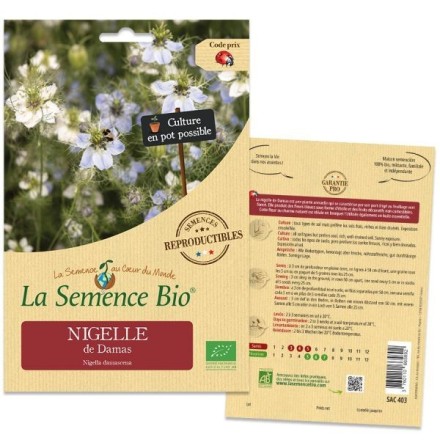 Graines Nigelle de Damas BIO - La Semence Bio