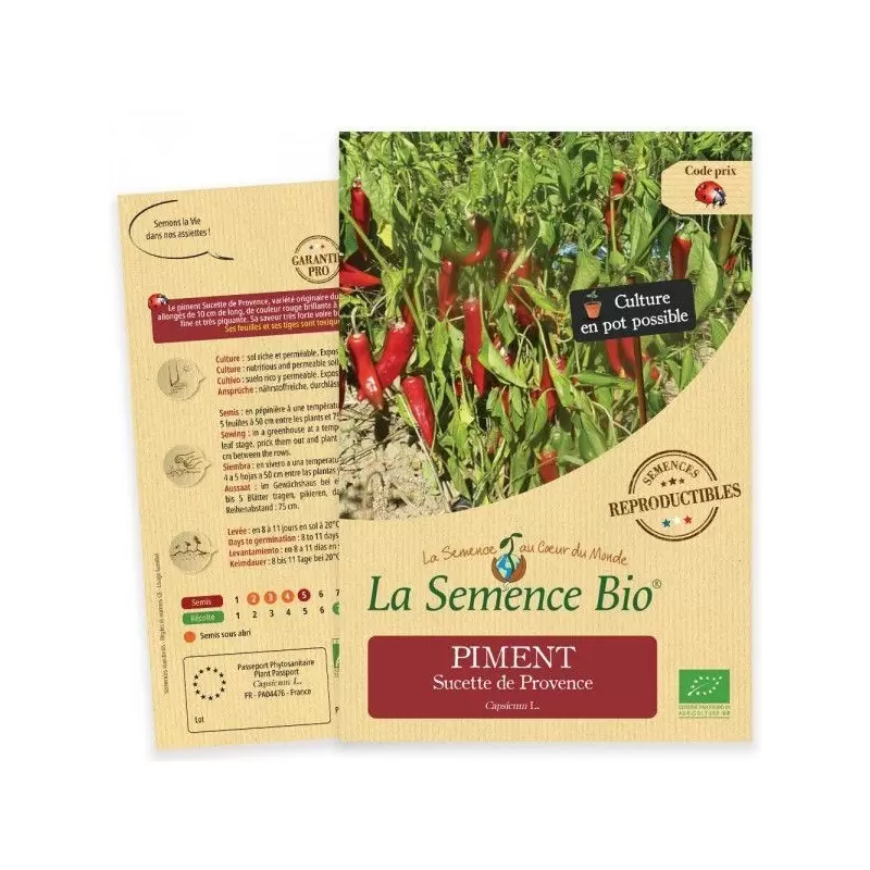 Graines Piment Sucette de Provence BIO - La Semence Bio