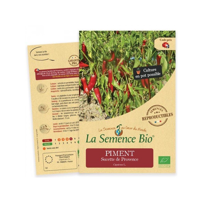 Graines Piment Sucette de Provence BIO - La Semence Bio