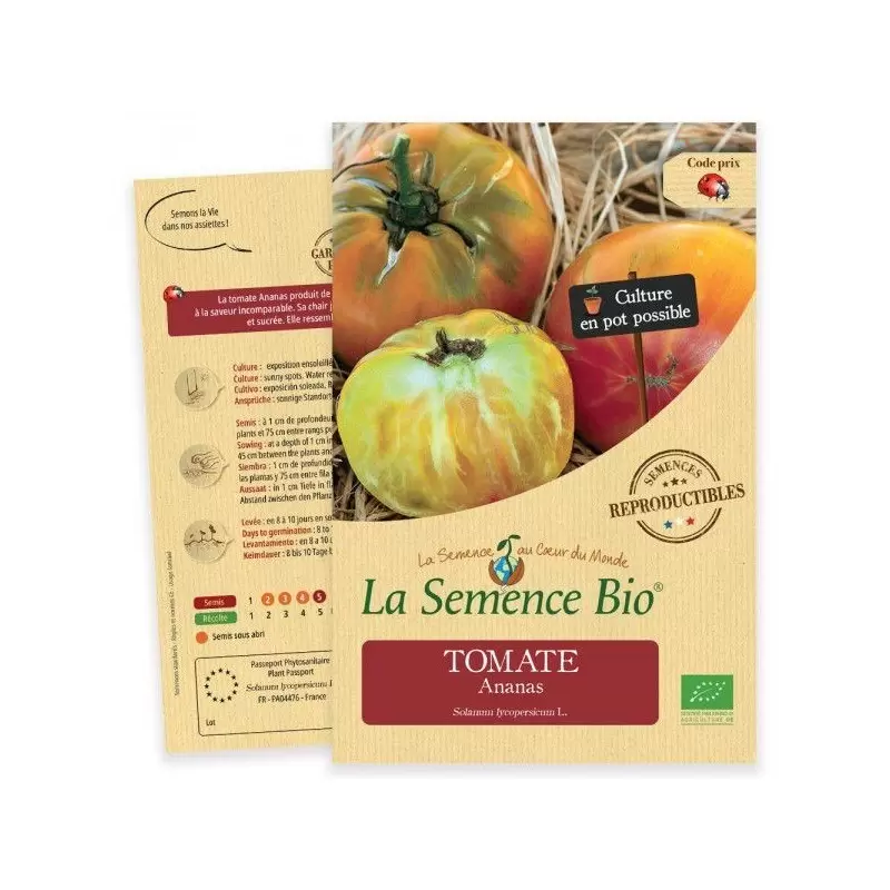 Graines Tomate Ananas BIO - La Semence Bio