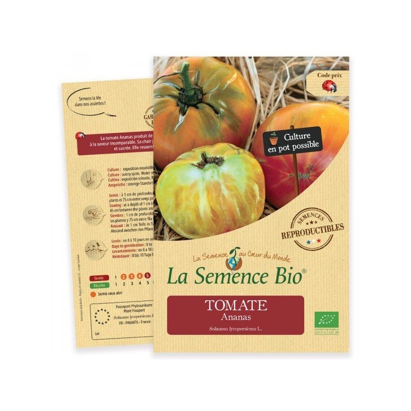 Graines Tomate Ananas BIO - La Semence Bio