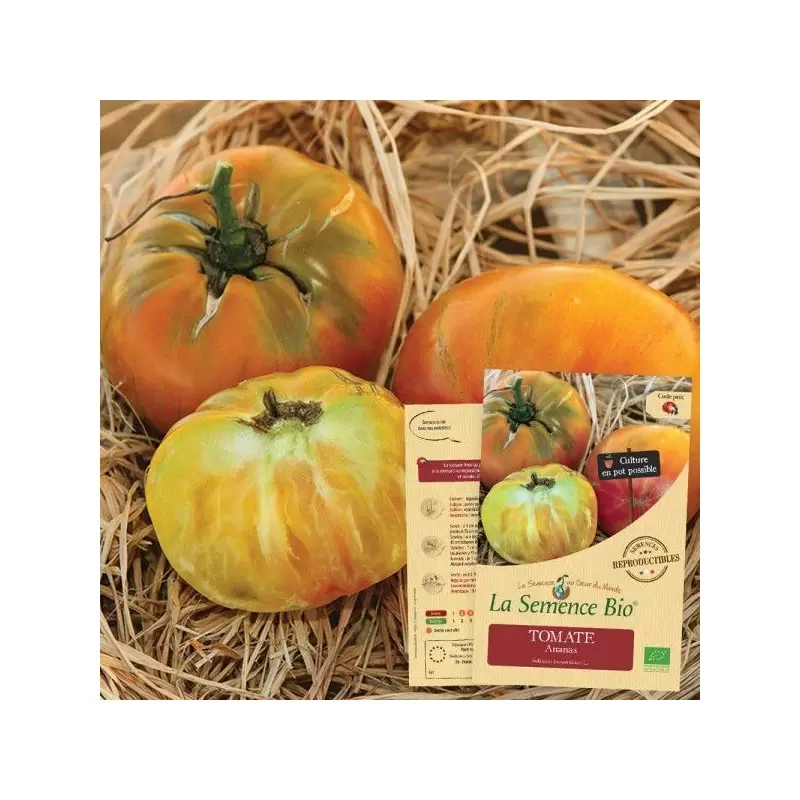 Graines Tomate Ananas BIO - La Semence Bio