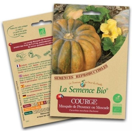 Graines Courge musquée de Provence BIO (Muscade) - La Semence Bio