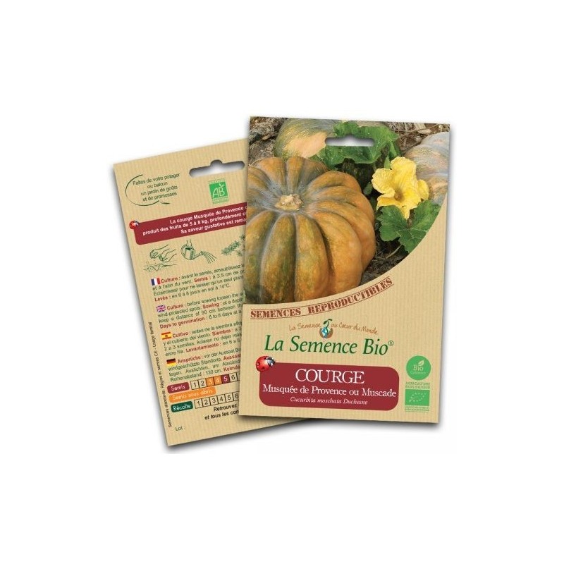 Graines Courge musquée de Provence BIO (Muscade) - La Semence Bio
