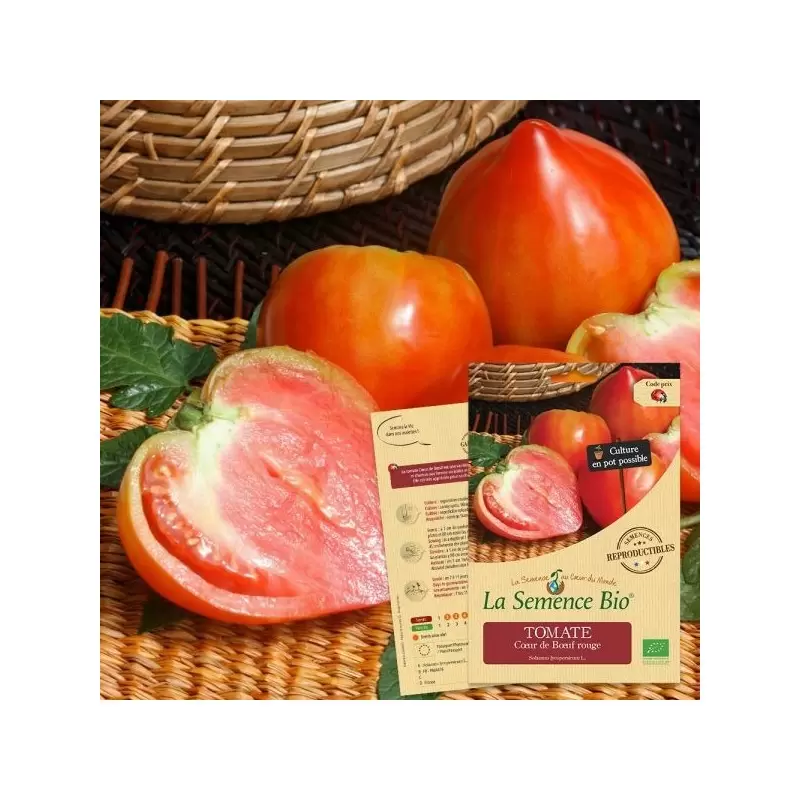 Graines Tomate Coeur de Boeuf BIO - La Semence Bio