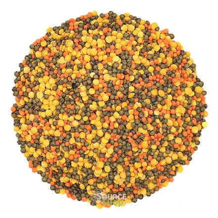 Trio de lentilles BIO en vrac