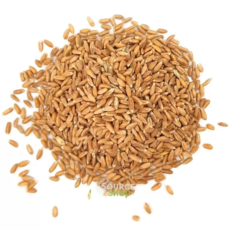 Epeautre complet BIO en vrac