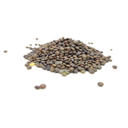 Lentilles vertes BIO en vrac