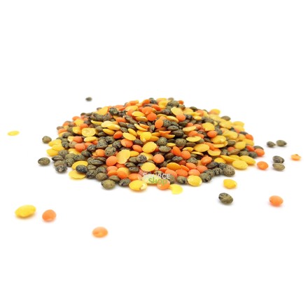 Trio de lentilles BIO en vrac