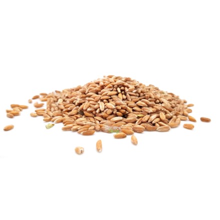 Epeautre complet BIO en vrac