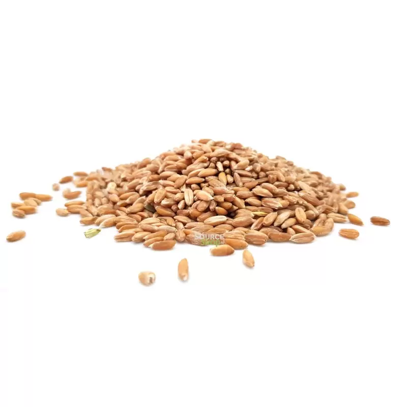Epeautre complet BIO en vrac