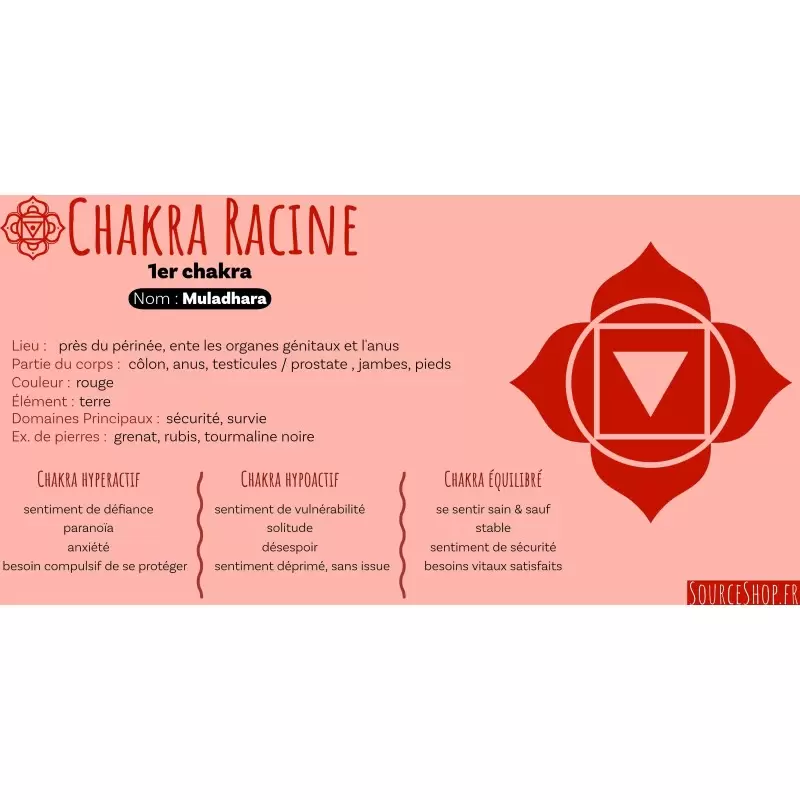 Briques d'encens Enracinement - Chakra Racine - Muladhara - Aromafume