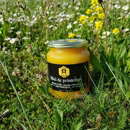 Miel de printemps du Haut-Bugey - 500g - Le Rucher des Fées Léma