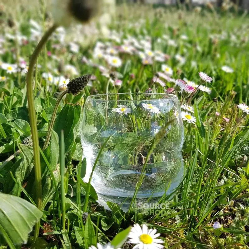 Verre Mythos Fleur de Vie - 250ml - Nature's Design
