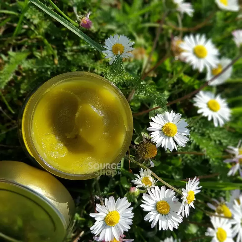 Baume douceur au chanvre BIO artisanal - 50ml - Canna d'Oc